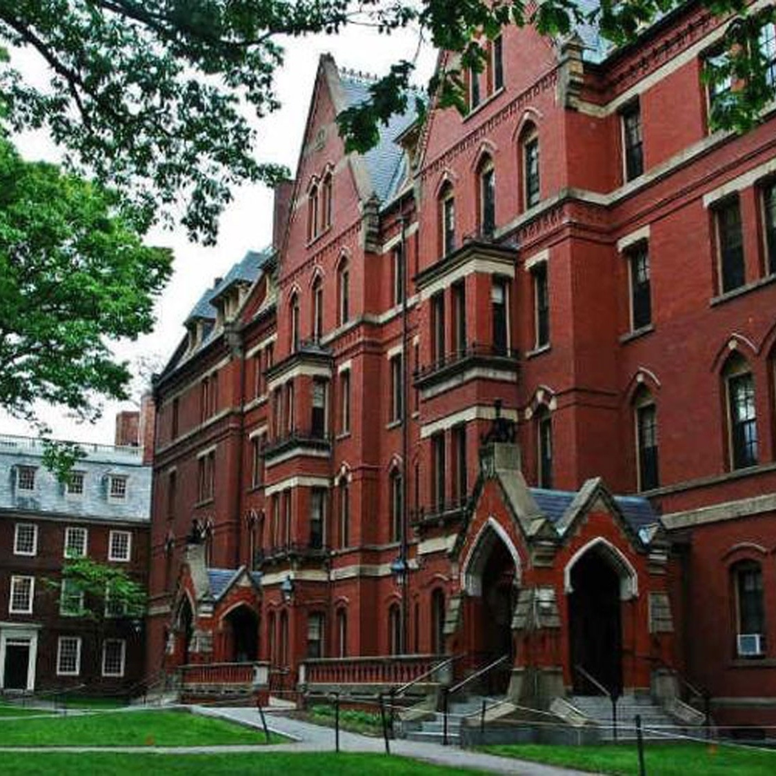 Estude em Harvard de graça e sem sair de casa: veja 110 cursos