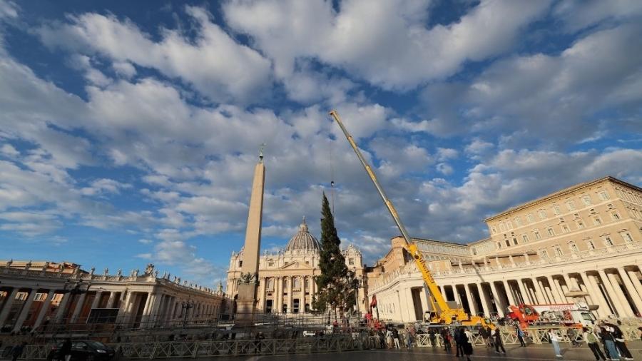 23.nov.2023 - Um guindaste levanta uma árvore de Natal para instalá-la na Praça de São Pedro, no Vaticano