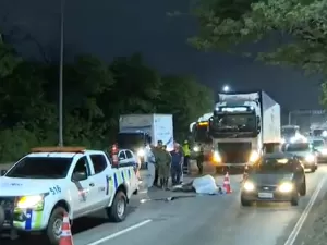 Égua do Exército morre após ser atropelada por carreta no RJ