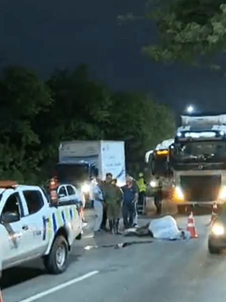 Égua Estupenda foi morta atropelada por uma carreta na Av. Brasil