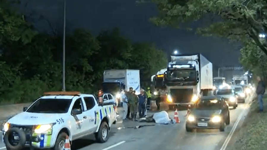 Égua Estupenda foi morta atropelada por uma carreta na Av. Brasil - Reprodução/TV Globo