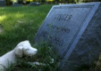 Cemitério reúne cachorros que foram estrelas de cinema e veteranos de guerra - Gary Cameron/Reuters