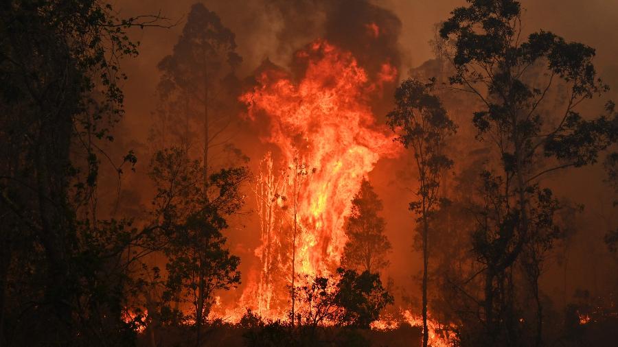 9.nov.2019 - Incêndio em Bobin, 350 km ao norte de Sydney, na Austrália. Bombeiros tentam controlar dezenas de focos no estado de New South Wales. Ao menos três pessoas morreram e milhares foram forçadas a deixar suas casas - Peter Parks/AFP