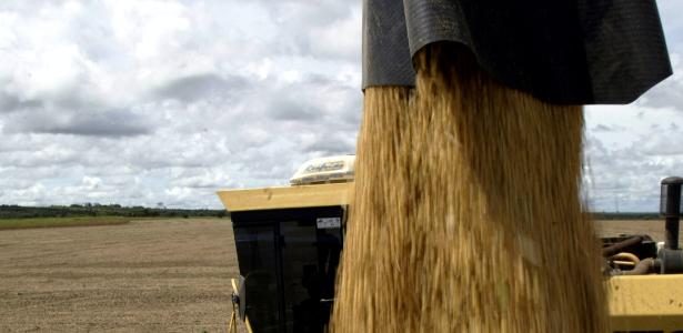 Agro pode ser estratégico para Mercosul se fortalecer na guerra tarifária