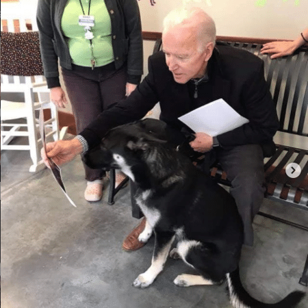Joe Biden e Major, em postagem no Instagram no dia em que o cão foi adotado pelo presidente eleito, na Delaware Humane Association - Redes sociais