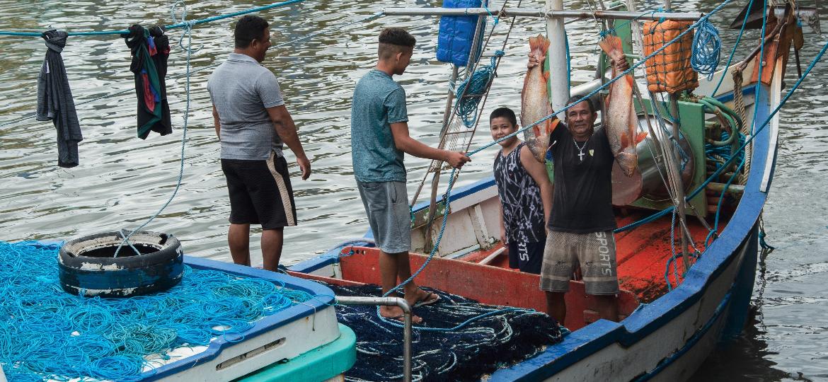 Pescadores descarregam pescada-amarela no cais de Vigia (PA). Do peixe, é extraída a bexiga-natatória, conhecida como grude na região - Sarita Reed/Diálogo Chino