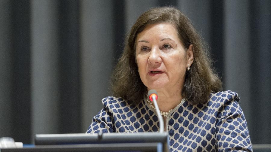 Maria Luiza Ribeiro Viotti durante discurso em Assembleia Geral da ONU. - Rick Bajornas/UN Photo