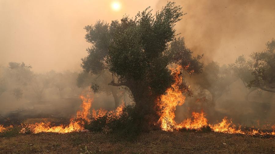 Incêndios na região de Evros, Grécia