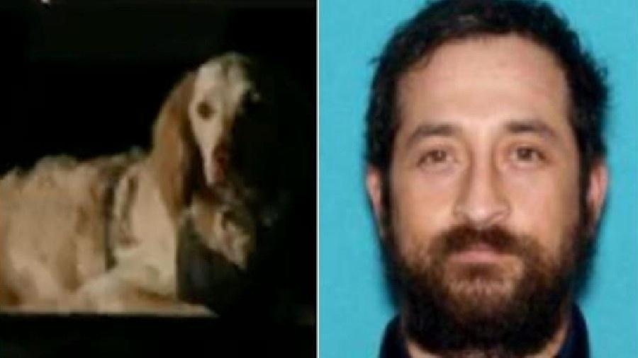 Cachorro King, que permaneceu ao lado do corpo de seu dono, Oscar Alejandro Hernandez, por duas semanas.  - Reprodução/Twitter e Los Angeles Police Department