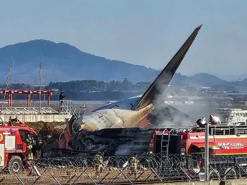 Avião foi alertado sobre risco de colisão com pássaros na Coreia do Sul