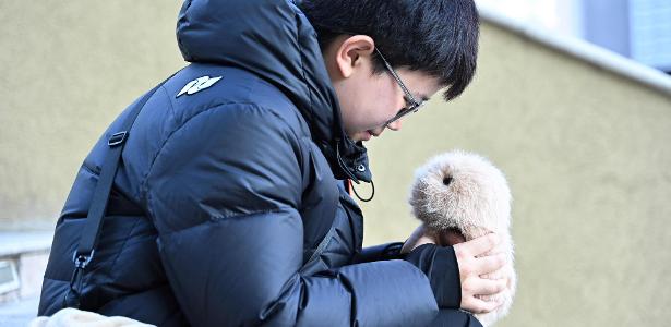 Contra isolamento social, jovens usam pelúcia com IA em busca de bem-estar