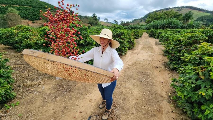 Produtora mineira de café Fernanda Sá exporta parte de sua produção para o Chile - Arquivo pessoal