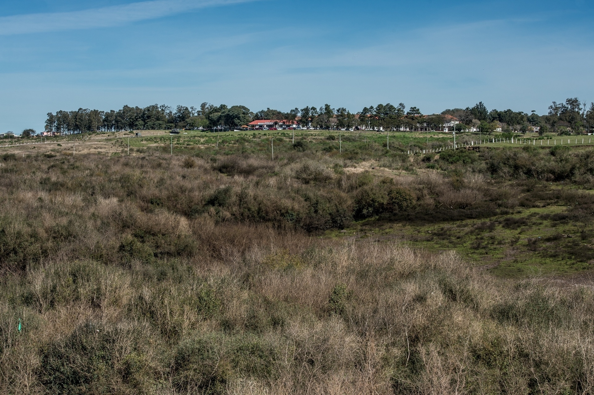 Cacalos Garrastazu/Eder Content