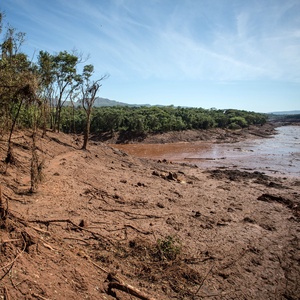 Gaspar Nóbrega/SOS Mata Atlântica