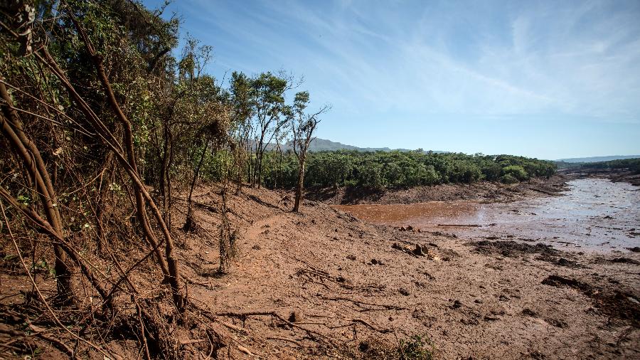31.jan.2019 - O leito do rio Paraopeba e suas margens foram tomados pela lama que vazou da barragem da Vale em Brumadinho (MG) - Gaspar Nóbrega/SOS Mata Atlântica