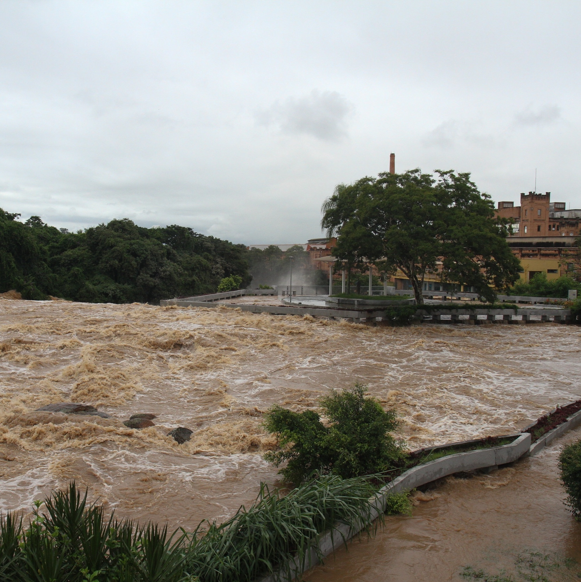 Depois da enchente, rio Tietê deixa toneladas de lixo na área urbana de  Salto - 14/02/2020 - UOL Notícias