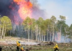 Fumaça de incêndios florestais pode ser nova rota de disseminação de doenças infecciosas - D.VUONO via BBC