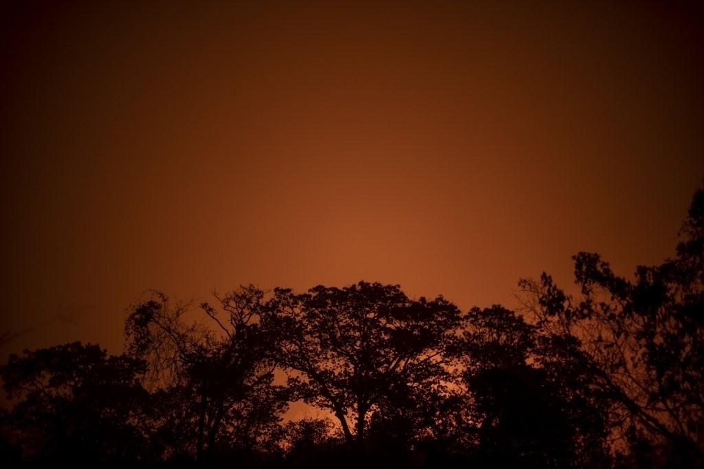 Images show fire in the Pantanal region, devastated by the fires that occurred in September 2020 - Mauro Pimentel / AFP