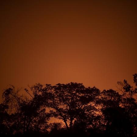 Fogo na região do Pantanal, devastada pelas queimadas que ocorrem desde setembro de 2020 - Mauro Pimentel/AFP
