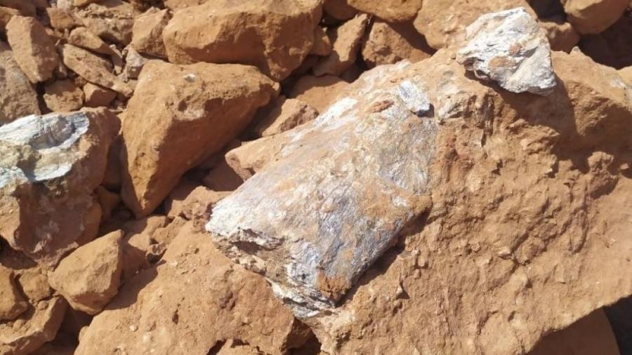 Fragmento de fêmur de dinossauro é encontrado em obra de duplicação de rodovia em Marília - Divulgação/ Museu de Paleontologia de Marília