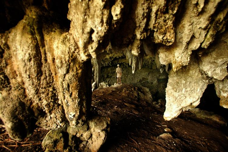 Liang Bua, uma das cavernas onde o Homo floresiensis foi encontrado em Flores, na Indonésia