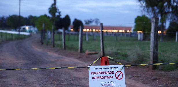 Brasil inicia contagem de 28 dias para se declarar livre da gripe aviária