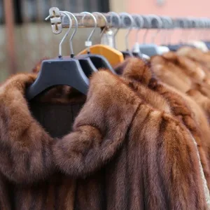 Casaco de pele - Getty Images/iStockphoto