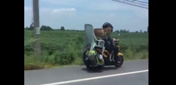 Motorista flagrou a moto com o cachorro sobre a cadeira de plástico em estrada da Tailândia - Reprodução/Twitter@Stickboy Bangkok