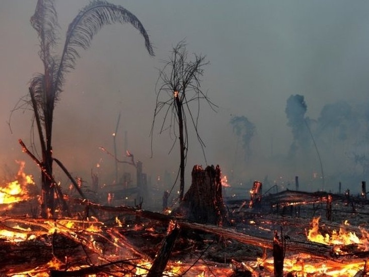 Amazônia: Desmatamento avança 9,5% em um ano e tem pior índice desde 2008