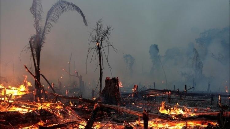 35% do desmatamento na Amazônia entre agosto de 2018 e julho de 2019 se deu em terras públicas não destinadas, categoria visada por grileiros - Reuters - Reuters