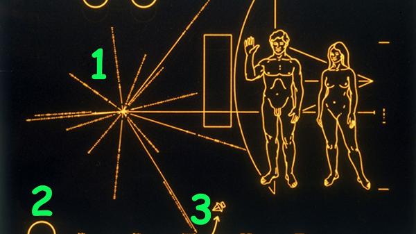 Cada uma das linhas que irradiam do centro indica a direção e a distância de um pulsar em relação ao Sol - Getty Images - Getty Images