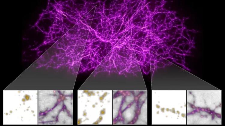 bbc - NASA, ESA and J. Burchett and O. Sieve (UC Santa Cruz) - NASA, ESA and J. Burchett and O. Sieve (UC Santa Cruz)