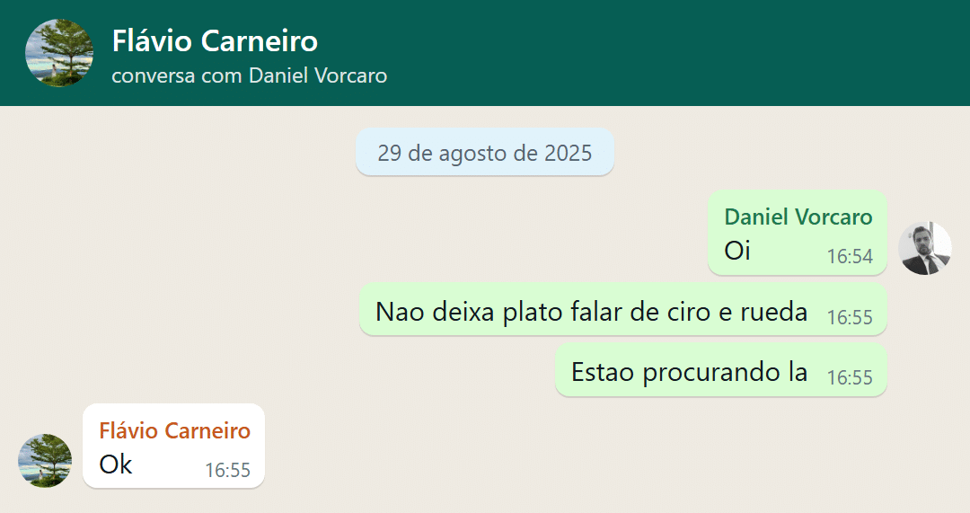 Conversa entre Daniel Vorcaro e Flávio Carneiro sobre menções a Ciro e Rueda - undefined