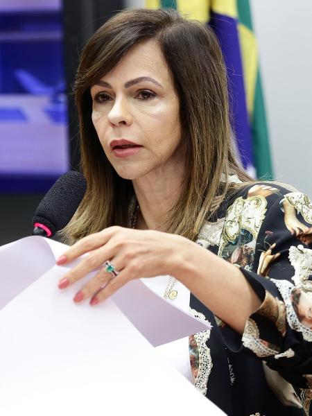 6.nov.2018 -Deputada Professora Dorinha Seabra (DEM-TO) - Michel Jesus - 6.nov.2018/Câmara dos Deputados