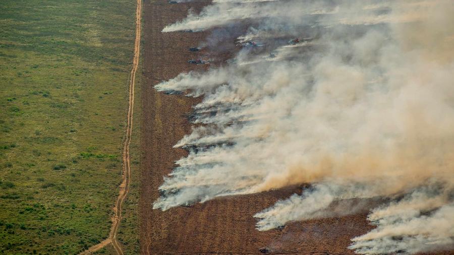 Incêndio em plantação de soja em Mato Grosso  - Christian Braga/Greenpeace