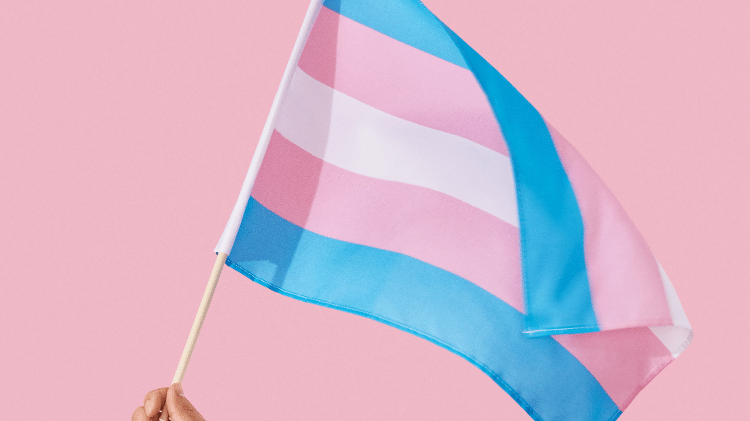 Bandeira Trans - Stephanie Gonot / Pexels - Stephanie Gonot / Pexels