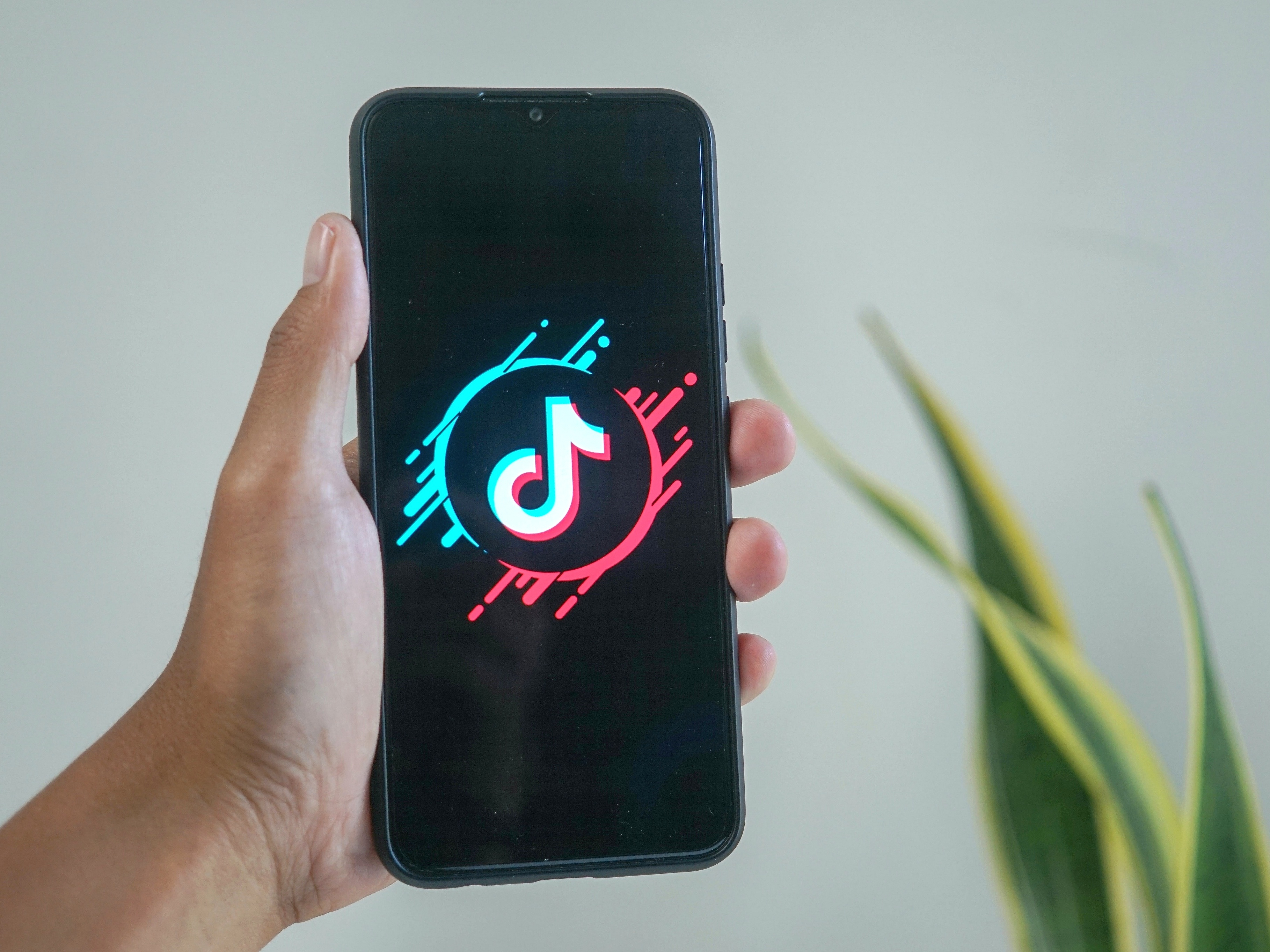 jogo da nuvem google｜Pesquisa do TikTok