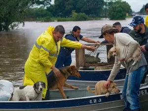 Resgates de barco e animais salvos: as imagens da trágica chuva no RS