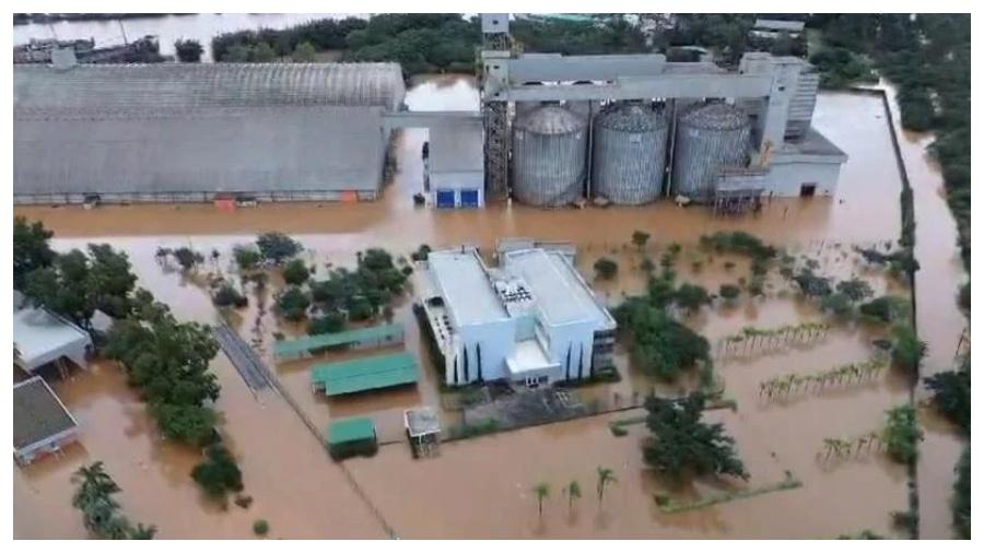 Galpão da Bianchini foi inundado devido aos temporais no estado