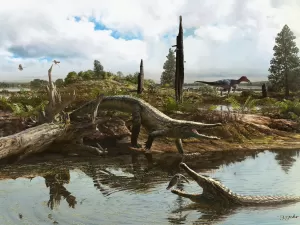 'Crocodilo feiticeiro': nova espécie com 65 milhões de anos é achada em SP