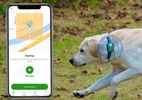 PetPhone: Como funciona 'smartphone' para pets lançado por startup chinesa (Foto: GlocalMe)