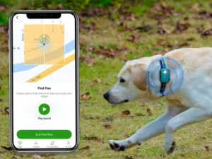 PetPhone: Como funciona 'smartphone' para pets lançado por startup chinesa