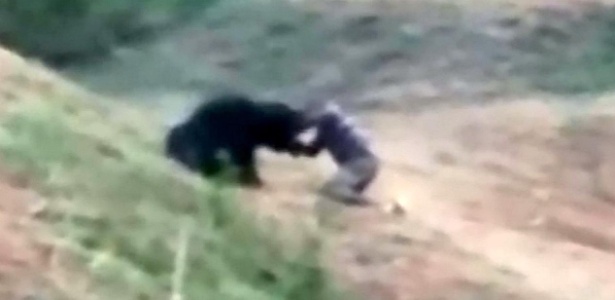 Imagem de celular mostra o momento em que o urso ataca - The Independent/Reprodução