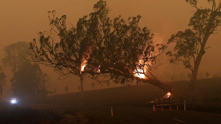 Incêndio florestal em Nova Gales do Sul, na Austrália - TRACEY NEARMY