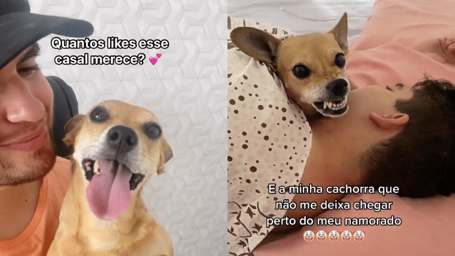 Pelo TikTok, jovem mostra que sua cadela Nininha vem monopolizando o namorado Rafael. Os vídeos já tem mais de três milhões de visualização. - Reprodução/Instagram