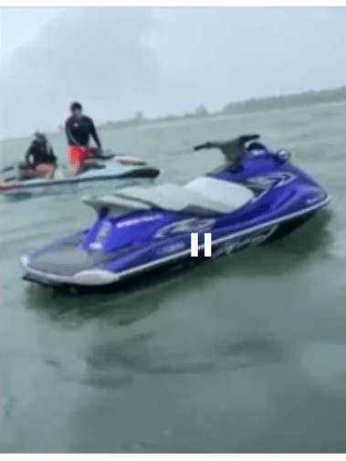 Macaco-prego que 'passeava' de jet ski é resgatado vítima de maus