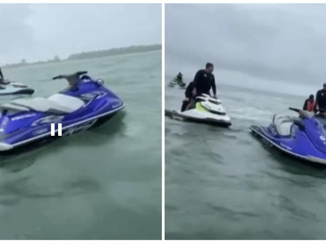 Macaco-prego que 'passeava' de jet ski é resgatado vítima de maus