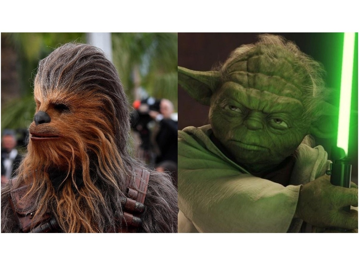 Parece até que pensa