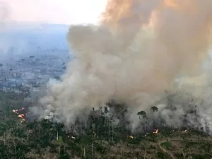 Incêndios na floresta amazônica brasileira atingem em agosto maior nível em 14 anos