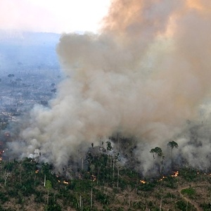 Fogo faz desmatamento na Amazônia em maio subir 92% em relação a 2024